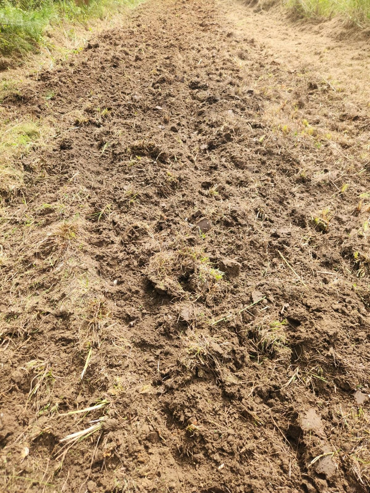 Black Boar Camco ATV/UTV Disc Harrow Implement | Specifically Designed to Thoroughly Break up Tough Ground | (66001) customer photo 1