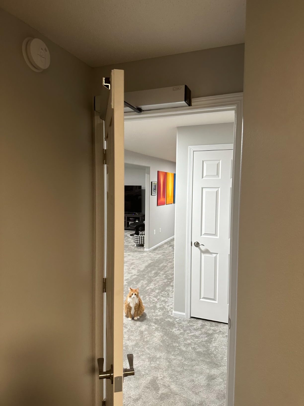 Automatic Swing Door,Push Button Swing Door Opener Remote Control Swing Opening Heavy Duty Door Operator with 2PCS Exit Buttons customer photo 2