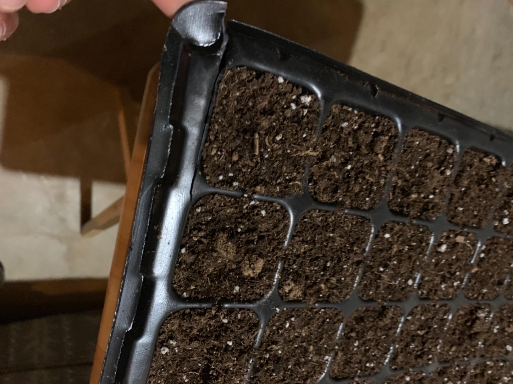 Bootstrap Farmer 50 Cell Seed Starting Trays Extra Strength, 5 Pack, Seedling Tray 1020 Inserts customer photo 1