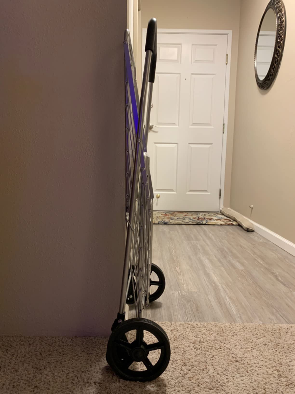 Wellmax Grocery Cart & Folding Shopping Cart with Wheels, 66 lb Max, Medium customer photo 2