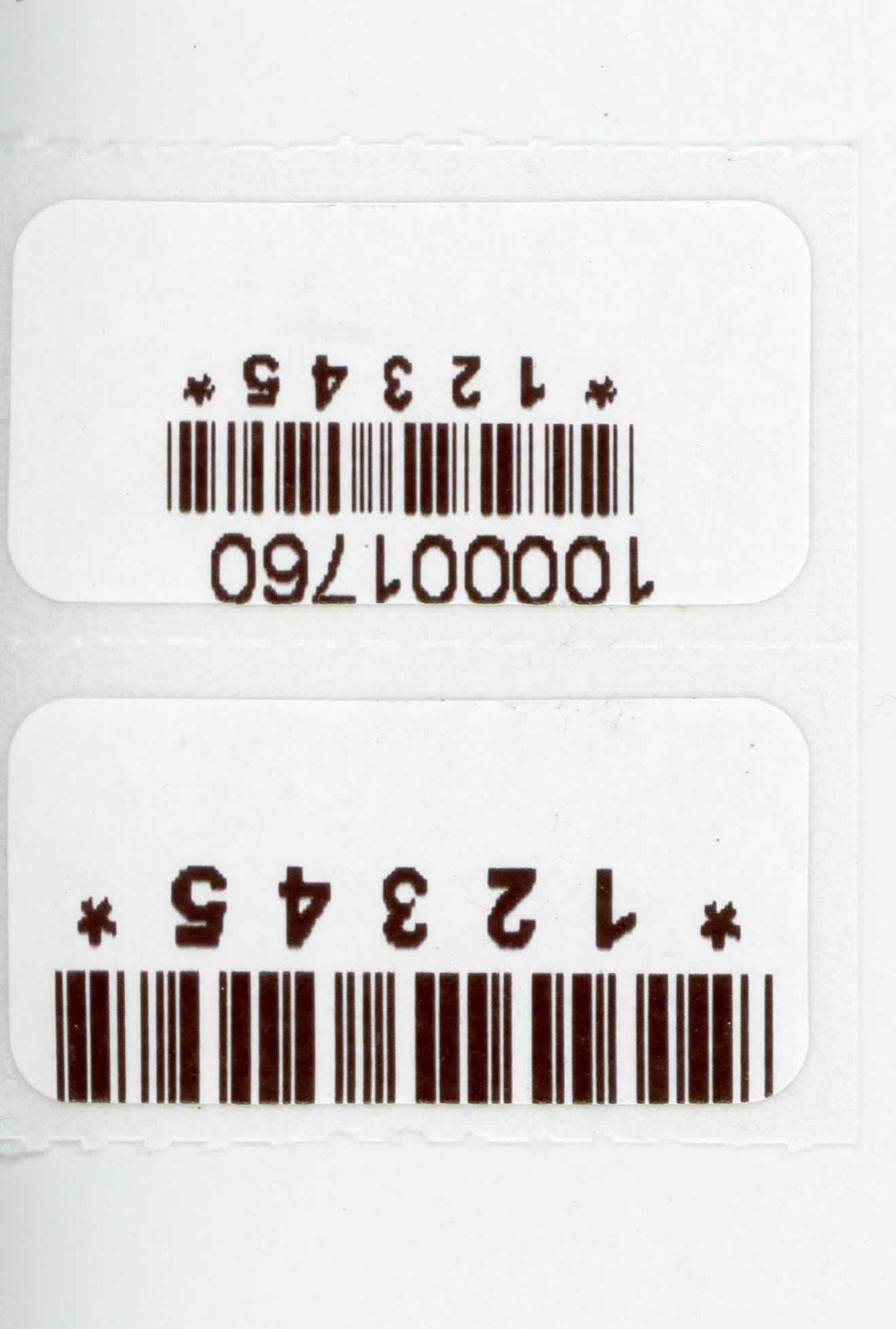 Arkscan 2054A Shipping Label Printer for Windows Mac Chromebook Android, Supports Amazon Ebay Paypal Etsy Shopify ShipStation Stamps UPS USPS FedEx DHL, Roll & Fanfold 4x6 Direct Thermal Label customer photo 1