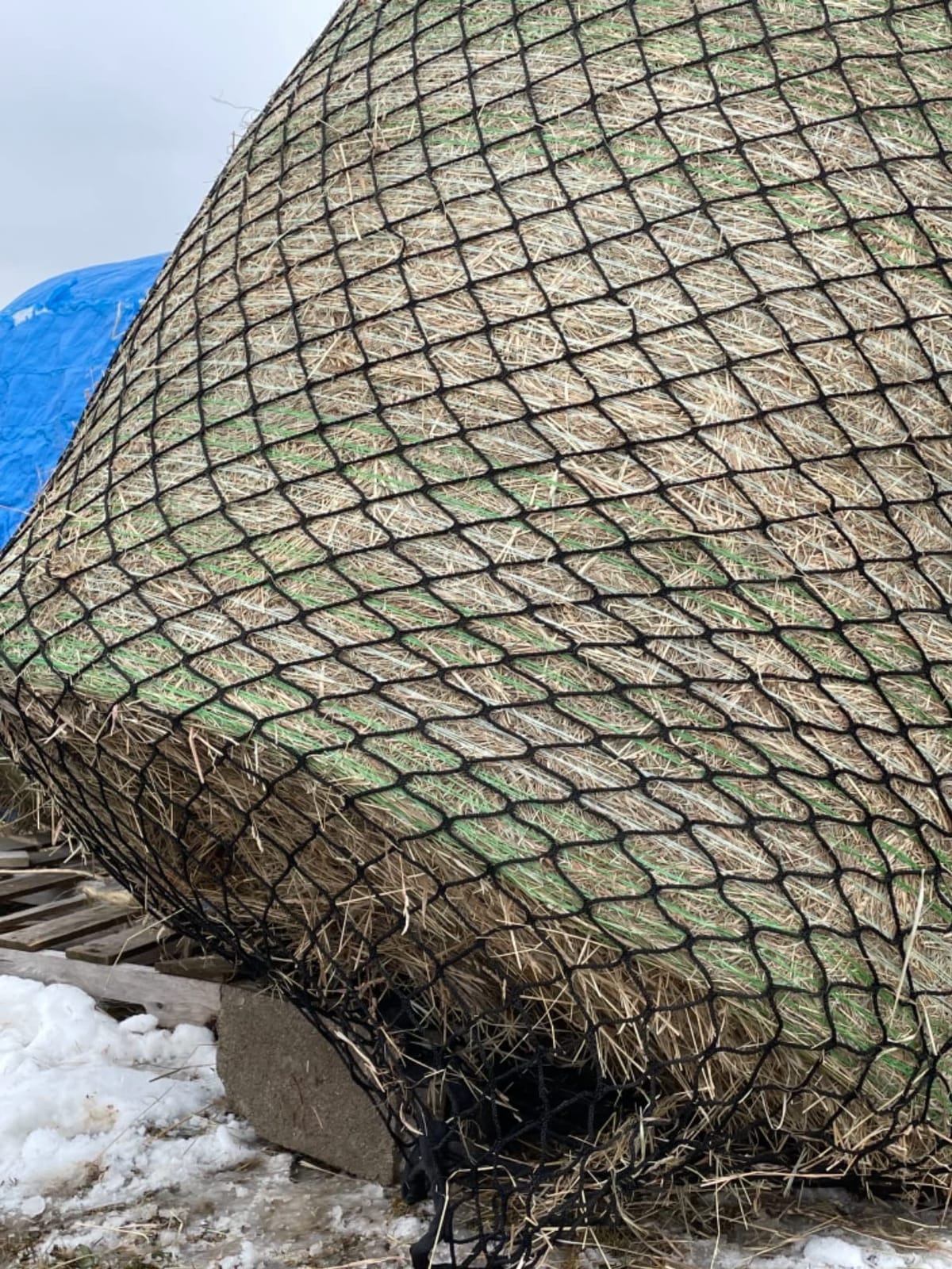 KNOTLESS HEAVYDUTY 4-5mm Thick Round Bale Slow Feed Hay Net (4x5) customer photo 1