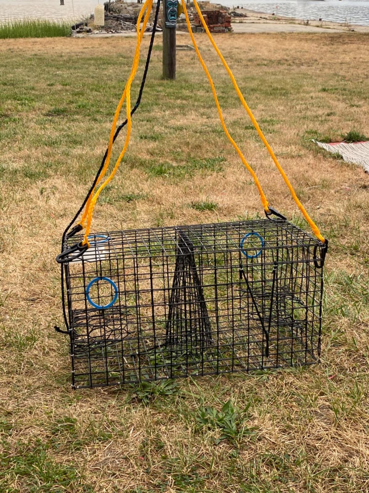 Maryland Blue Crab Pot Trap, PVC Coated Wire mesh, Heavy Duty, Two T.E.D. (Turtle Excluder Device), Two Escape Rings, Float, Rope, Ready for use. Come with Crab & Lobster Measure Gauge. Made in USA customer photo 2