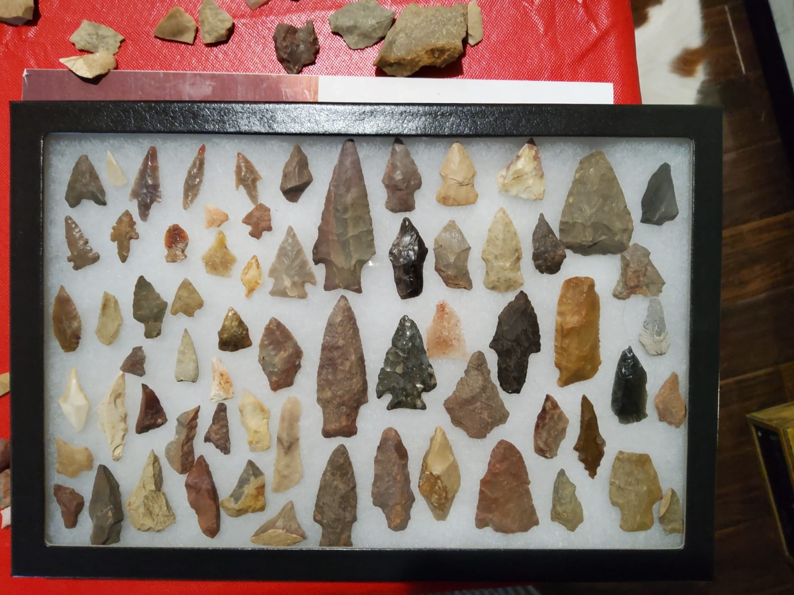 6 Pack of Riker Display Cases 8 x 12 x 3/4 with Glass Top for Collectibles Jewelry Arrowheads Relics & More customer photo 1