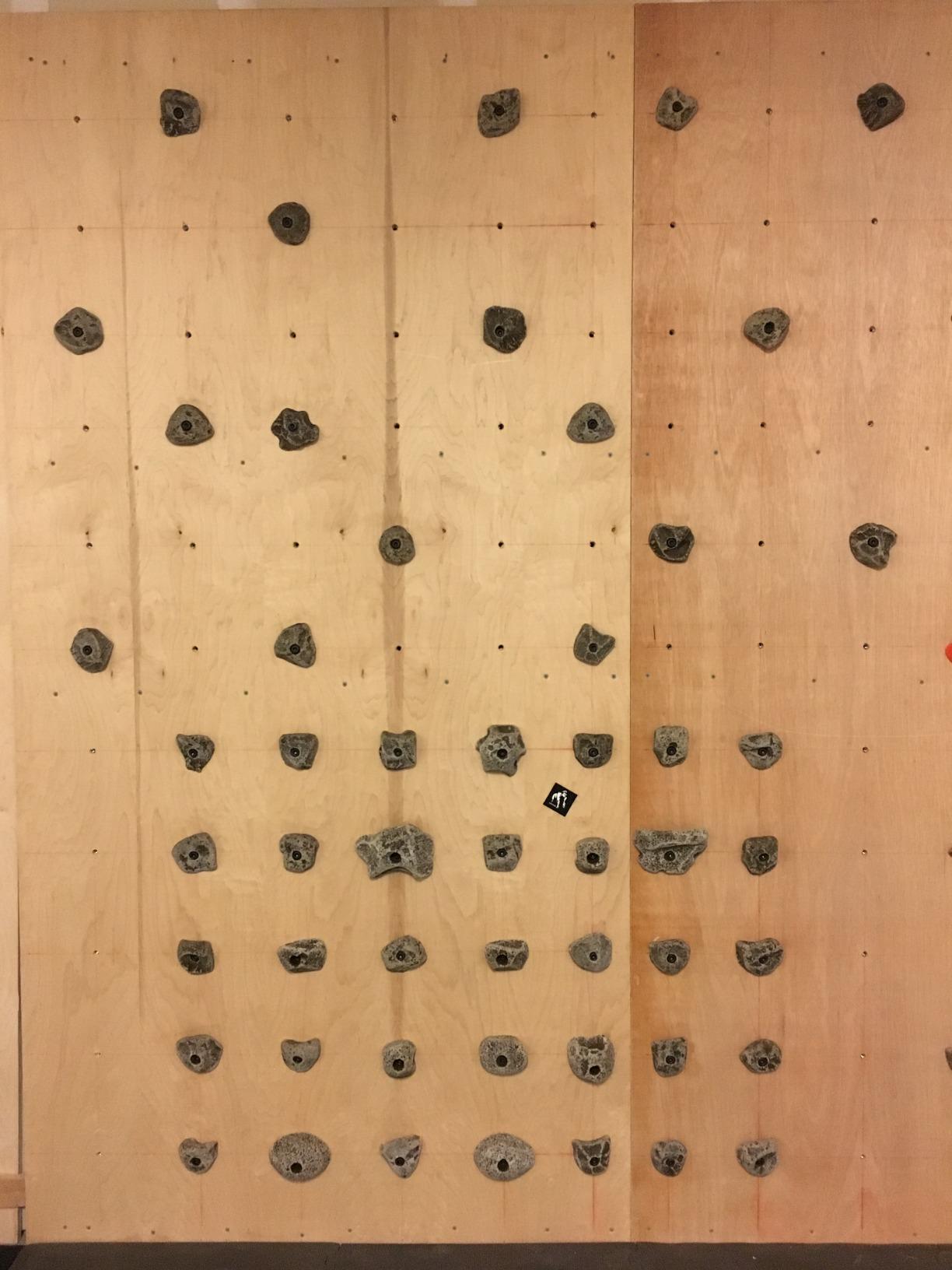 40PCS Rock Climbing Holds Mutil Size Includes Mounting Hardware Made in USA customer photo 2