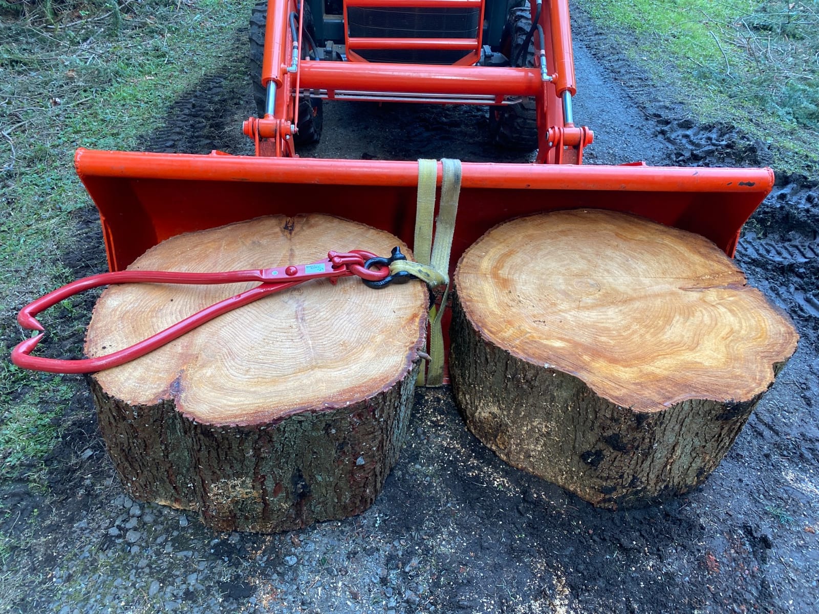 Skidding Tongs 32-inch Log Grabber with Ring for Connecting with Chain Logging Tools for Forestry, Timber, and Firewood by Earth Worth (Red) customer photo 2