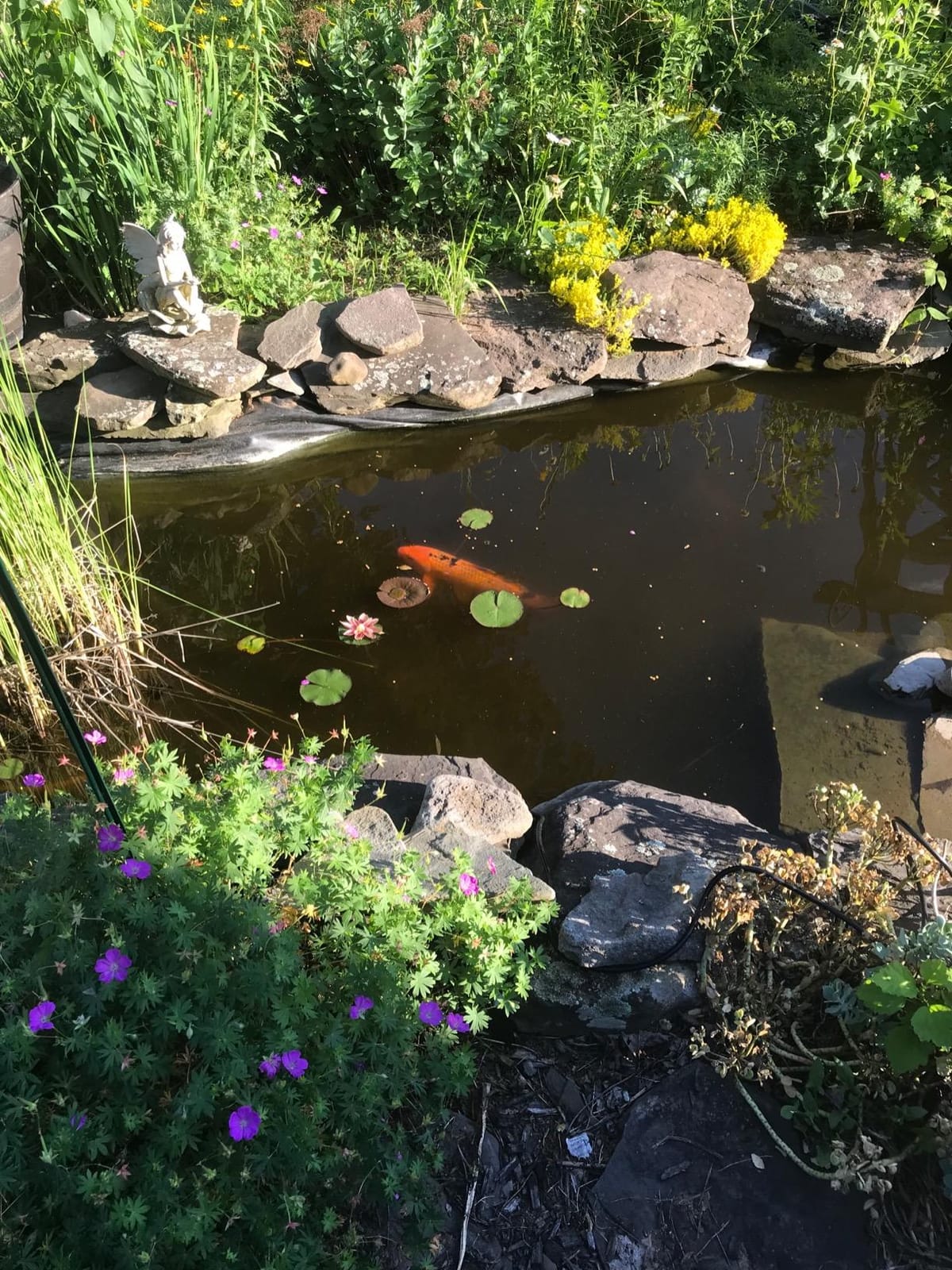 Aquascape Pro Air 20 Pond Aerator and Aeration Kit with Tubing and Self-Cleaning Diffuser, Out-Door Rated| 61009 customer photo 2