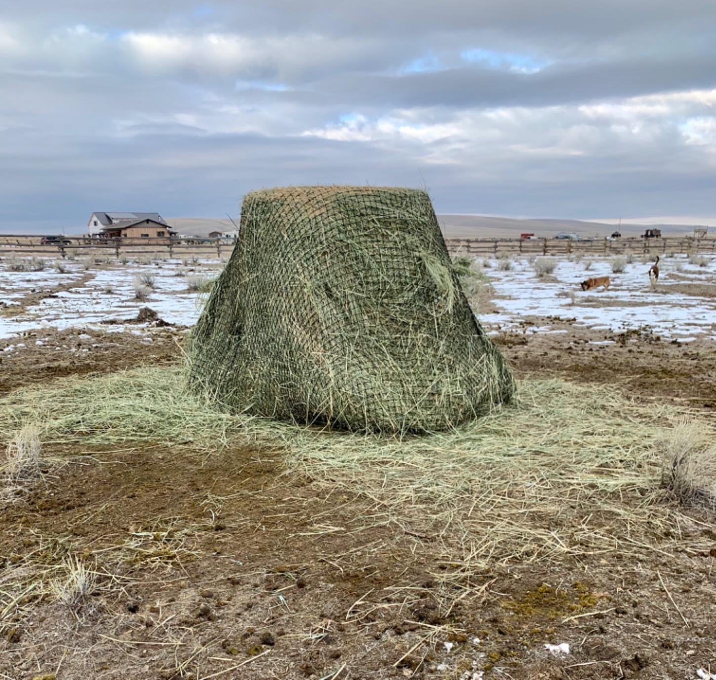 Texas Haynet - Round Bale Hay Net Slow Feed - Durable Round Bale Feeder for Horses - American Made UV Resistant Nylon Net - Fits Round Bales 4x6-6x6 or Square Bales 3x3x8-4x4x8 with 1.75