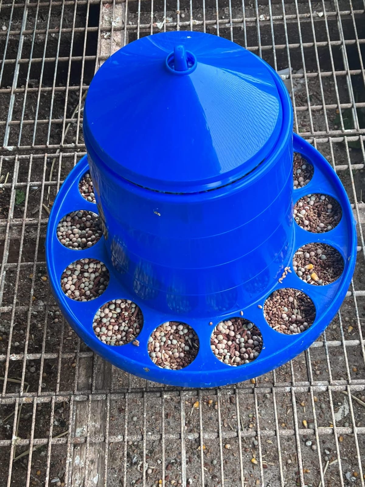 Double-Tuf® Poultry Feeder with Legs | Durable Feeding Container | Carrying Handle for Chickens & Birds | Chicken Feeder | 4 Lbs customer photo 2