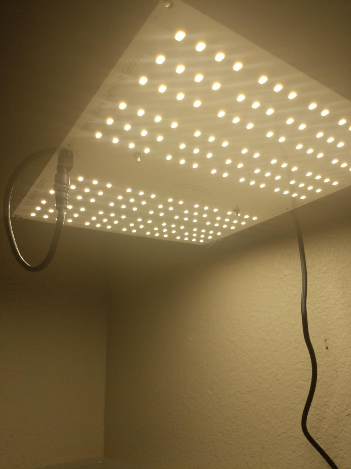 Horticulture Lighting Group HLG 100 V2 4000K 95W LED Quantum Board Grow Light Veg & Bloom with High Efficiency Upgraded Version 2 Samsung LM301B, Full Spectrum Growing Lights for Indoor Plants customer photo 2