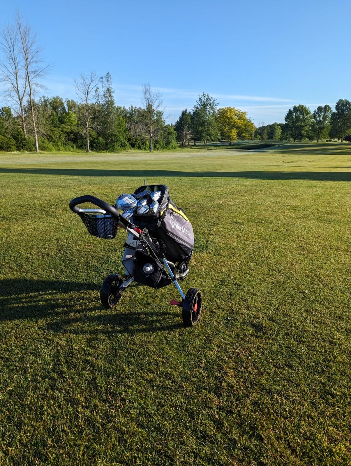 Caddytek CaddyLite 11.5 V3 Golf Push Cart - Lightweight Aluminum 3-Wheel Foldable Golf Bag Cart with Quad-Fold Frame, EVA Wheels, Adjustable Handle, Foot Brake, Mesh Net, Umbrella & Drink Holder customer photo 1