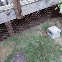 Expandable Garden Trellis Plant Support Willow Lattice Fence Panel for Climbing Plants Vine Ivy Rose Cucumbers Clematis 36X92 Inch customer photo 1