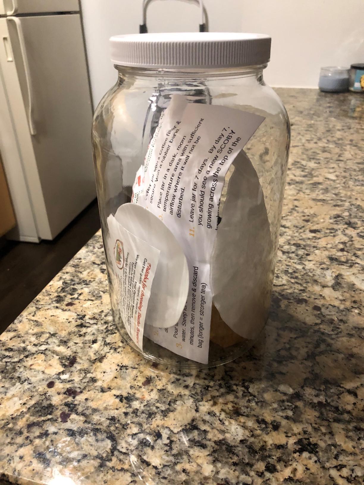 Kombucha Starter Kit with Everything to Brew Kombucha at Home. Kombucha Brewing Kit with SCOBY, Starter Tea, Organic Sugar, pH Strips, Thermometer Strip, Instructions, & More customer photo 1
