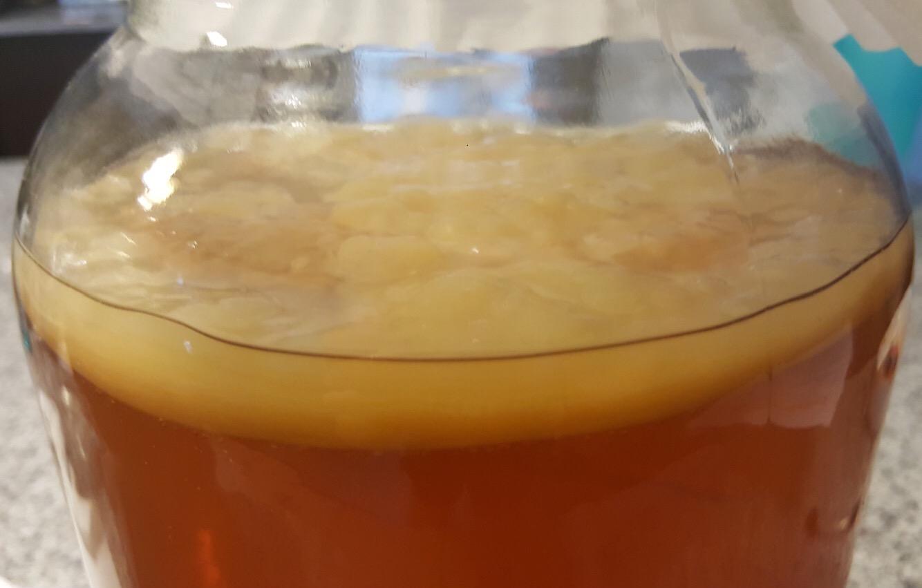Kombucha Starter Kit with Everything to Brew Kombucha at Home. Kombucha Brewing Kit with SCOBY, Starter Tea, Organic Sugar, pH Strips, Thermometer Strip, Instructions, & More customer photo 2