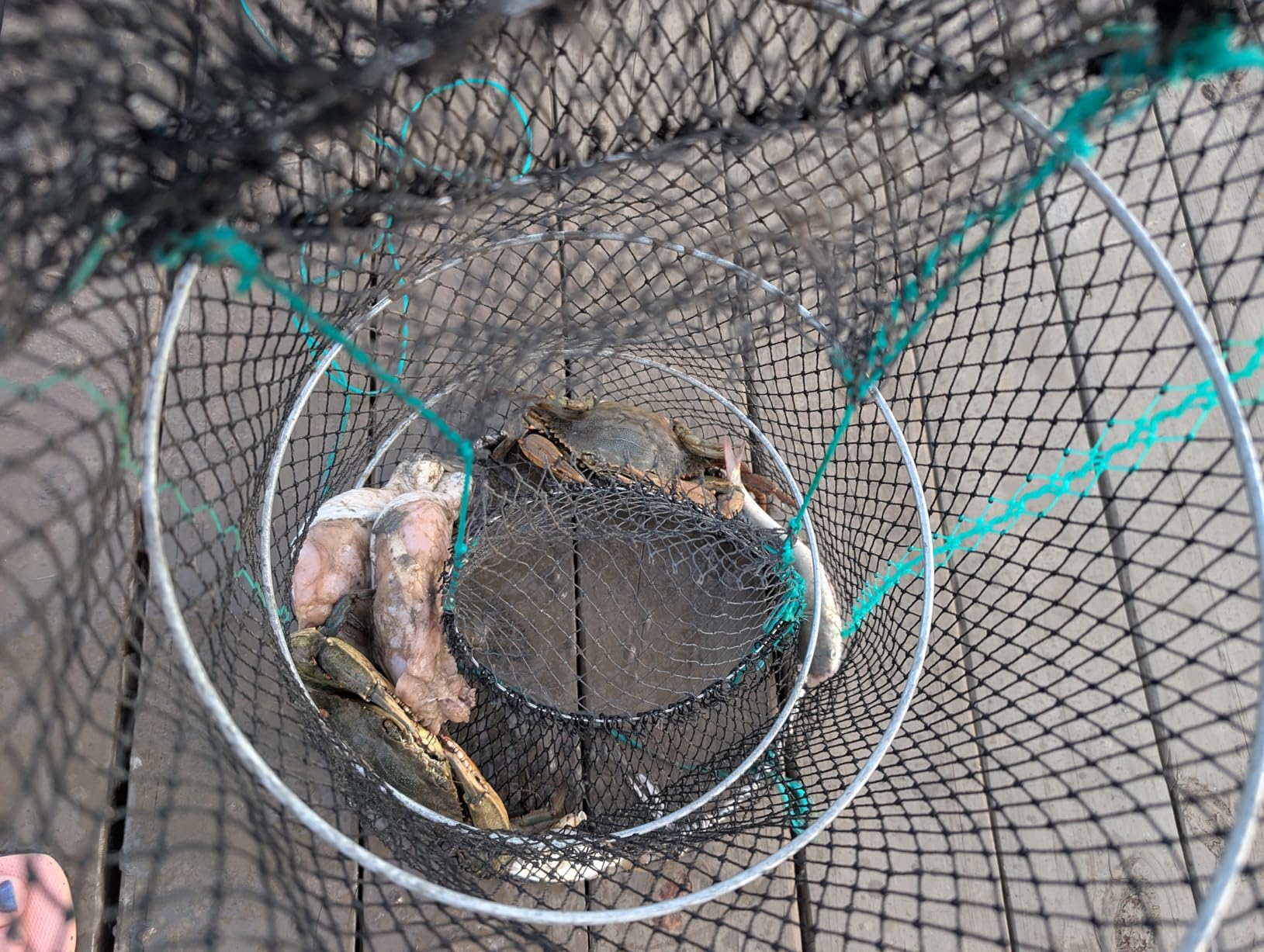 Drasry Crab Trap Bait Lobster Crawfish Shrimp Portable Folded Cast Net Magic Collapsible Fishing Traps Nets Accessories for Blue Crabs customer photo 1