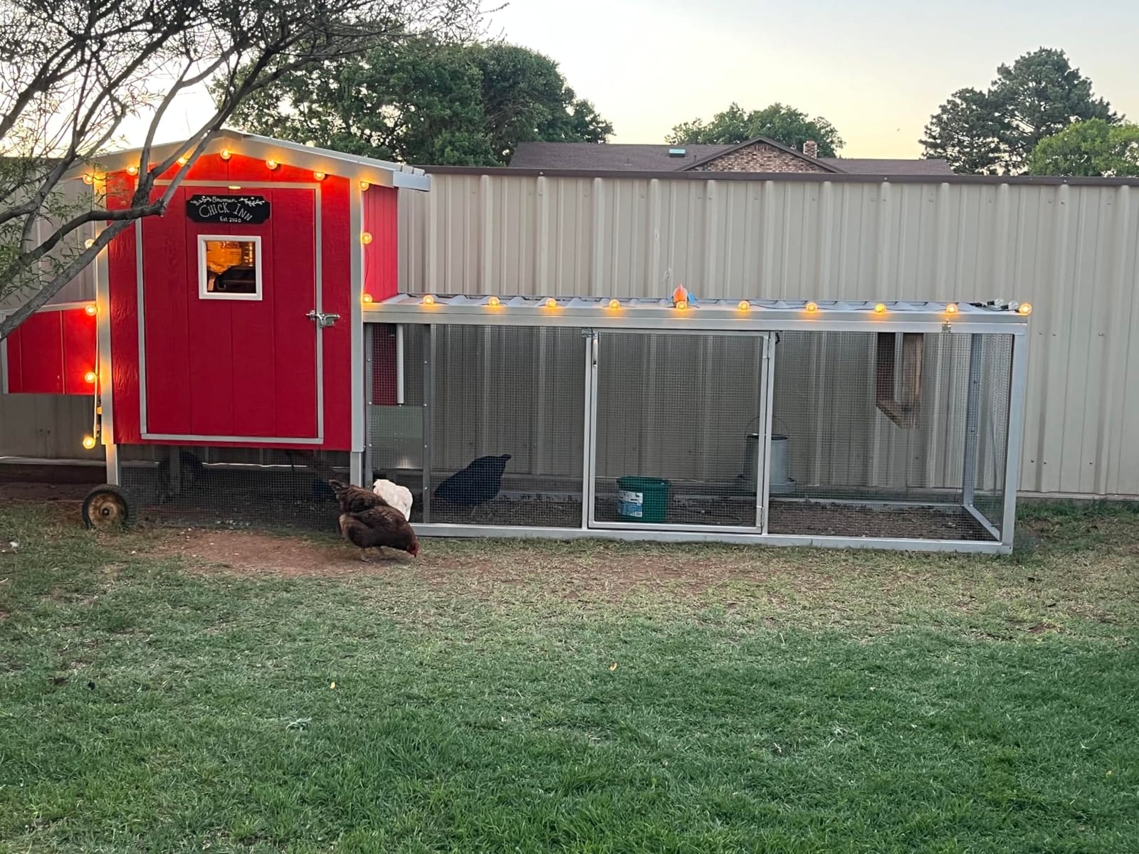 JVR Automatic Chicken Coop Door, Timer, Anti-Pinch, Aluminum Predator Proof | Programmable LCD timer, screw-rod actuator locks like a deadbolt, 11 x 12 in opening, weatherproof 13F to 140F, outage memory customer photo 2