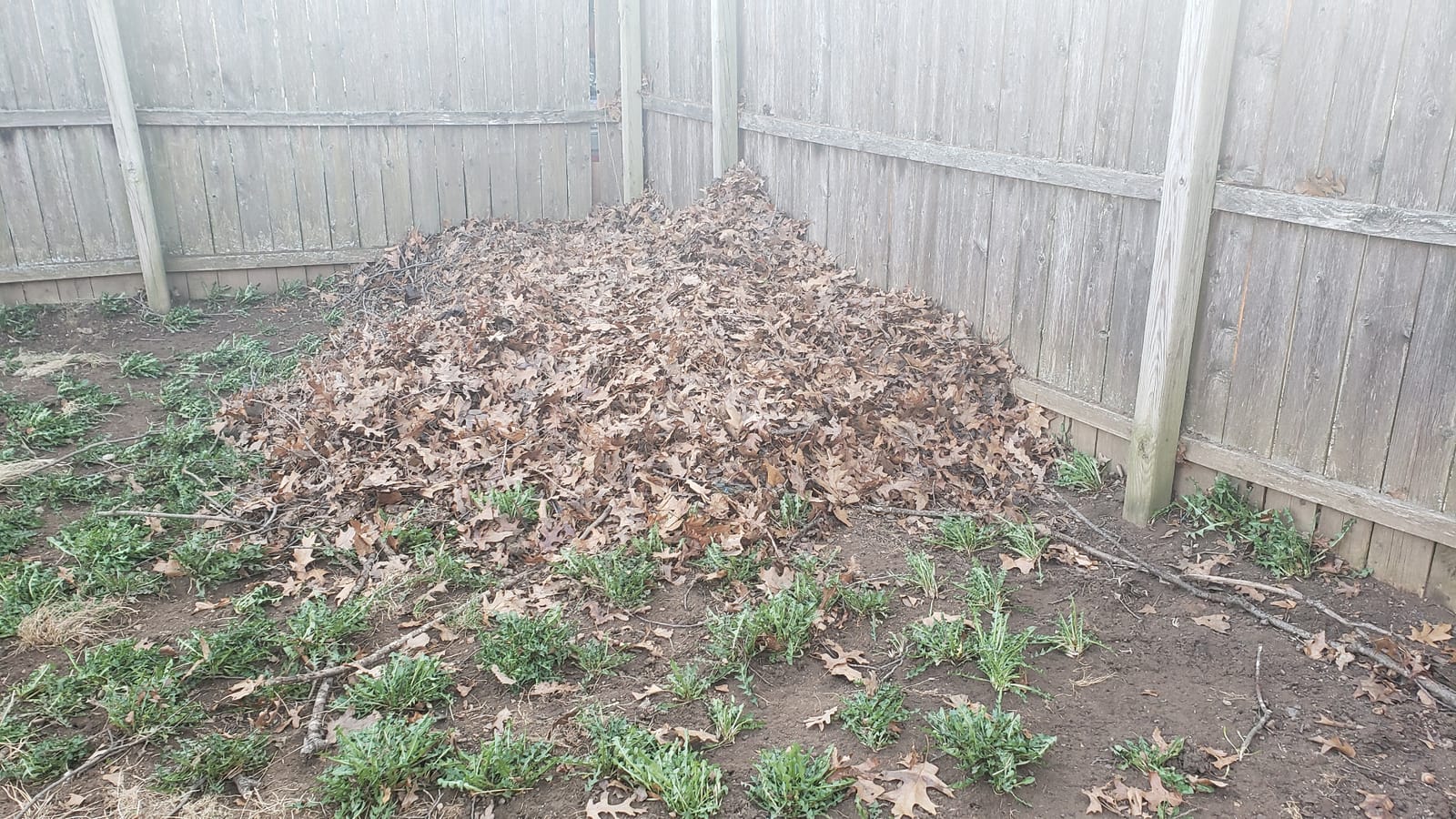 Schröder Backpack Leaf Blower - Backpack Blower - Gas Leaf Blower - SR-6400L - 3.7 HP Engine customer photo 2