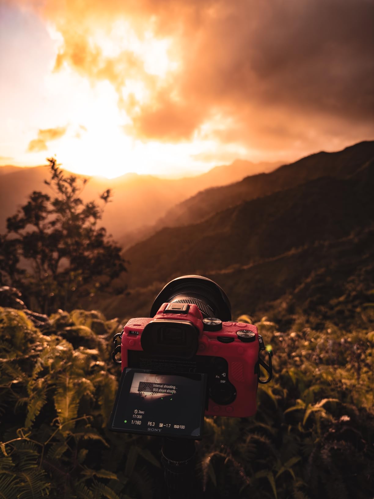 Sirui Compact Traveler 5C Tripod 54.3 inches Lightweight Carbon Fiber Travel Tripod for Camera with 360° Panorama Ball Head for Arca Swiss Quick Release Plate, Max Load 8.8lbs customer photo 1
