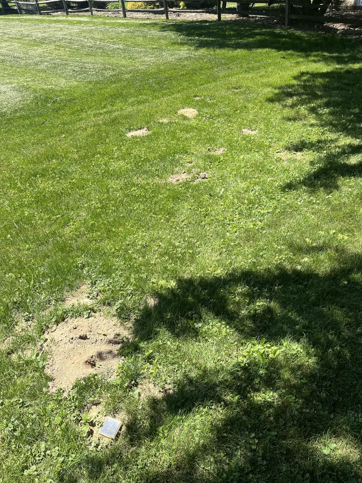 Victor Mole and Gopher Sonic Spike, 2-Pack | Chemical Free Outdoor Mole and Gopher Repellent for Lawns, 95 ft Diameter Coverage, Safe for Use Around People and Pets customer photo 1