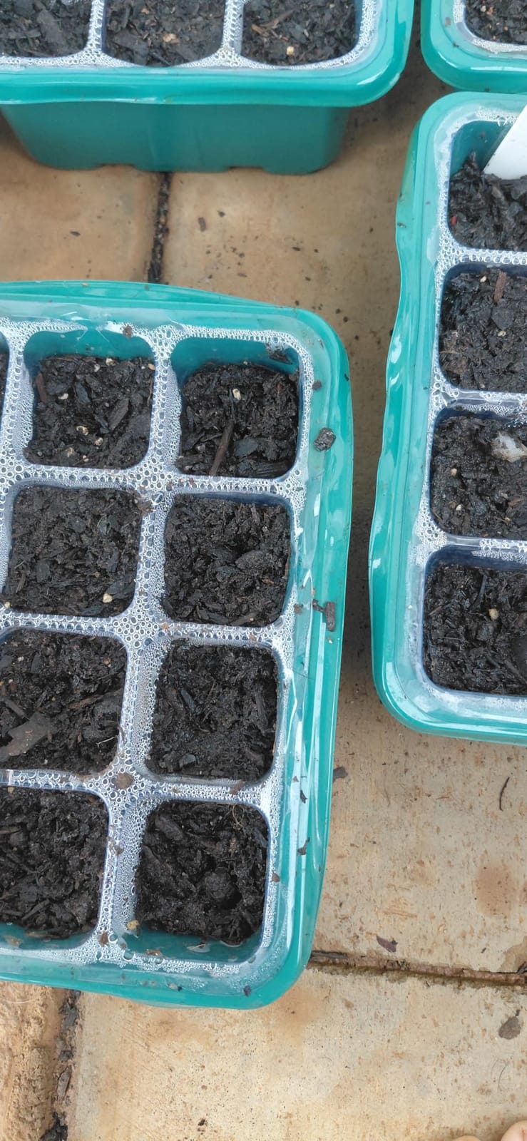 MIXC 10 Pack Seed Starter Tray, 120Cell Stater Kit with Humidity Dome Green customer photo 2
