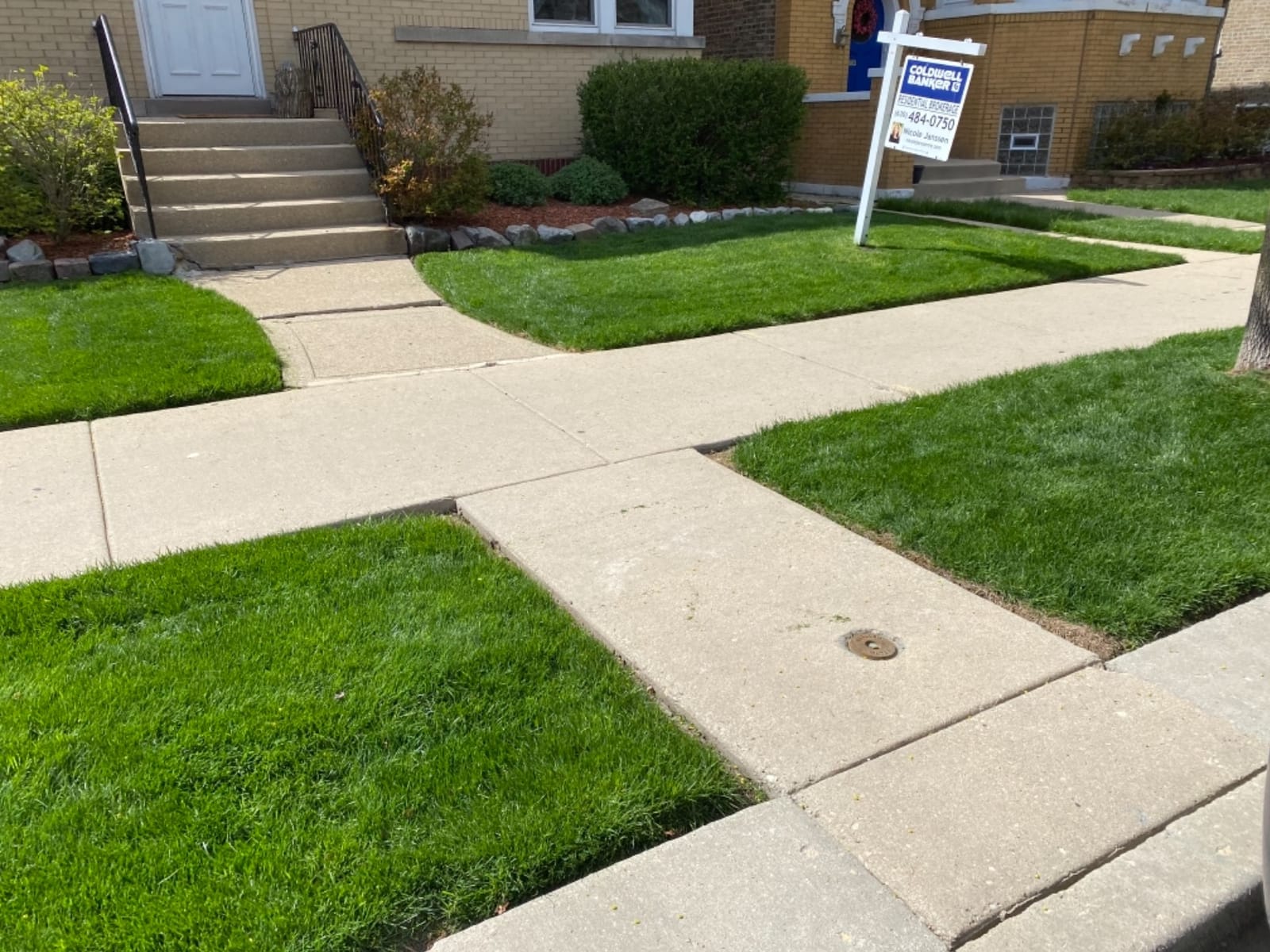 Liquid Lawn Aerator, Loosens and Conditions Compacted Soil, 32oz customer photo 1
