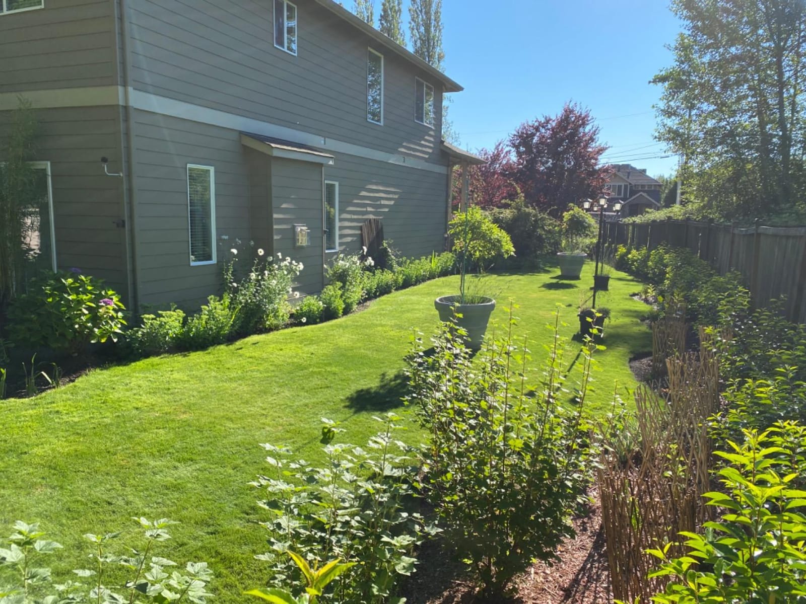 Liquid Lawn Aerator, Loosens and Conditions Compacted Soil, 32oz customer photo 2