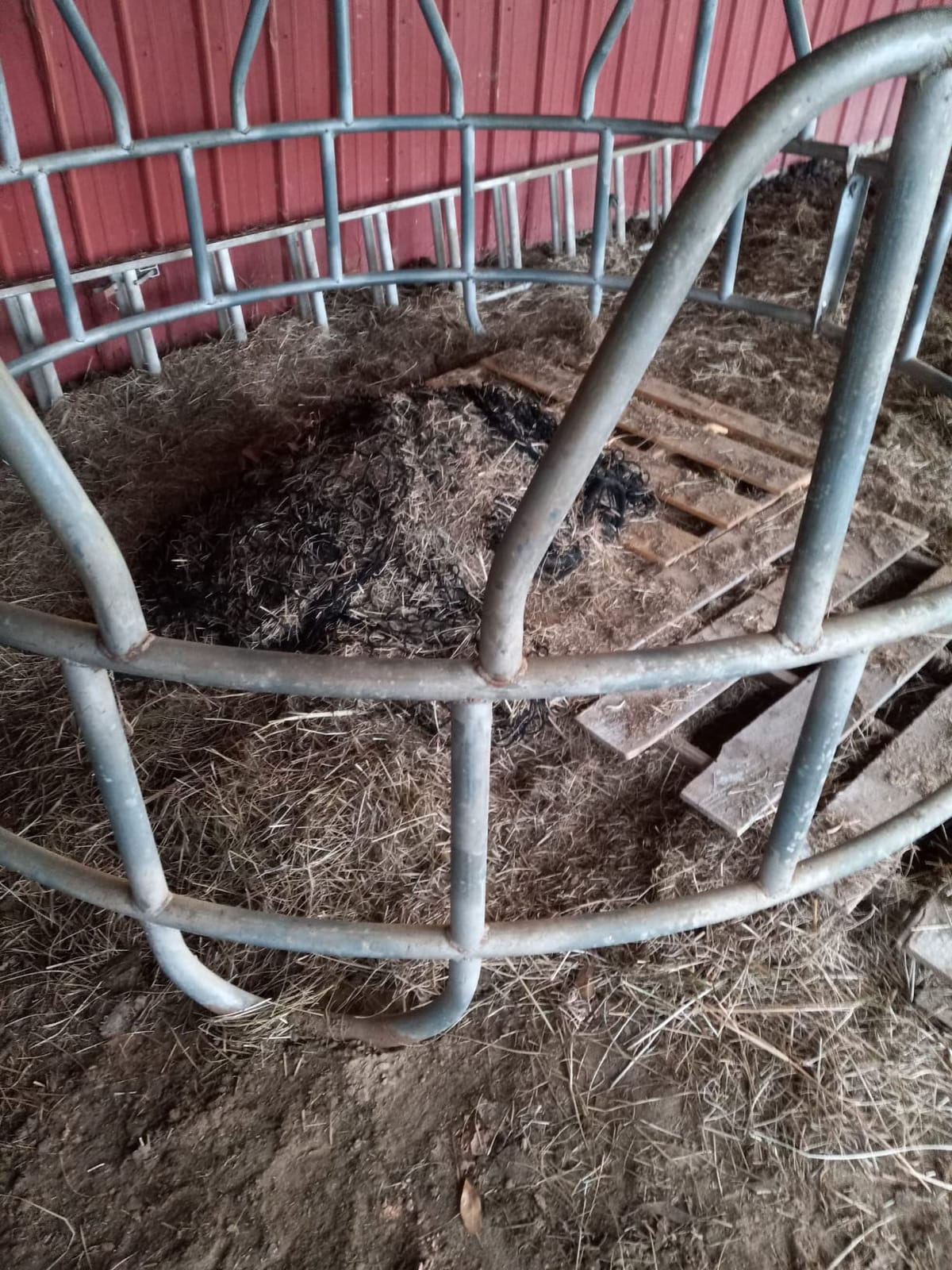 KNOTLESS Heavy Duty 5mm Thick Round Bale Slow Feed Hay Net 6x6 (Hole_Size_2.5 inches) customer photo 2