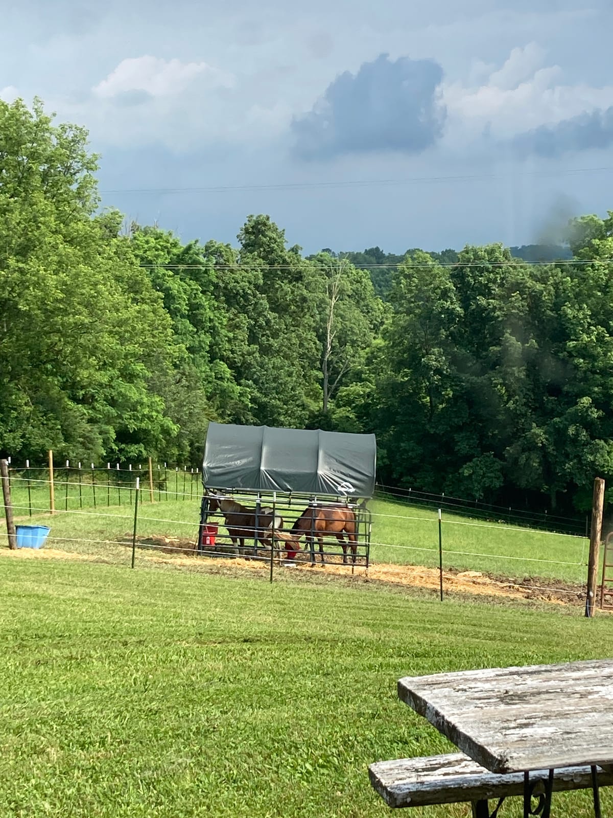 ShelterLogic 10' x 10' Enclosure Kit for Outdoor Corral Shelter Cover (Corral Frame and Panels, Top Cover NOT Included) Green customer photo 1