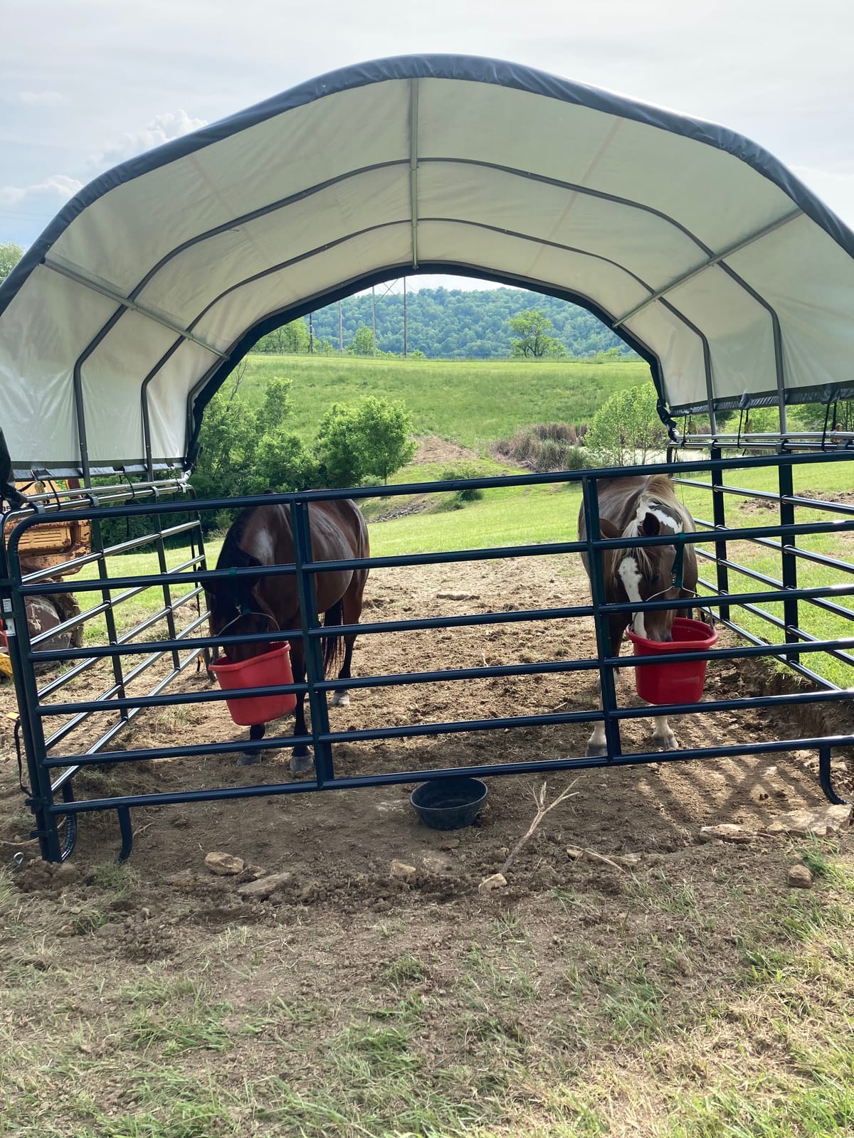 ShelterLogic 10' x 10' Enclosure Kit for Outdoor Corral Shelter Cover (Corral Frame and Panels, Top Cover NOT Included) Green customer photo 2