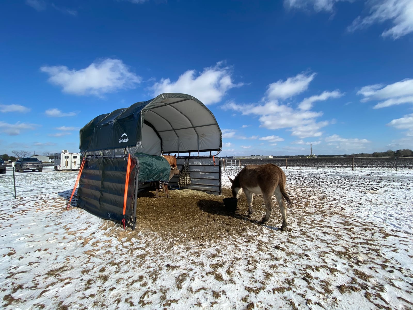 ShelterLogic 10' x 10' Powder Coated Green Corral Shelter Livestock Shade customer photo 2