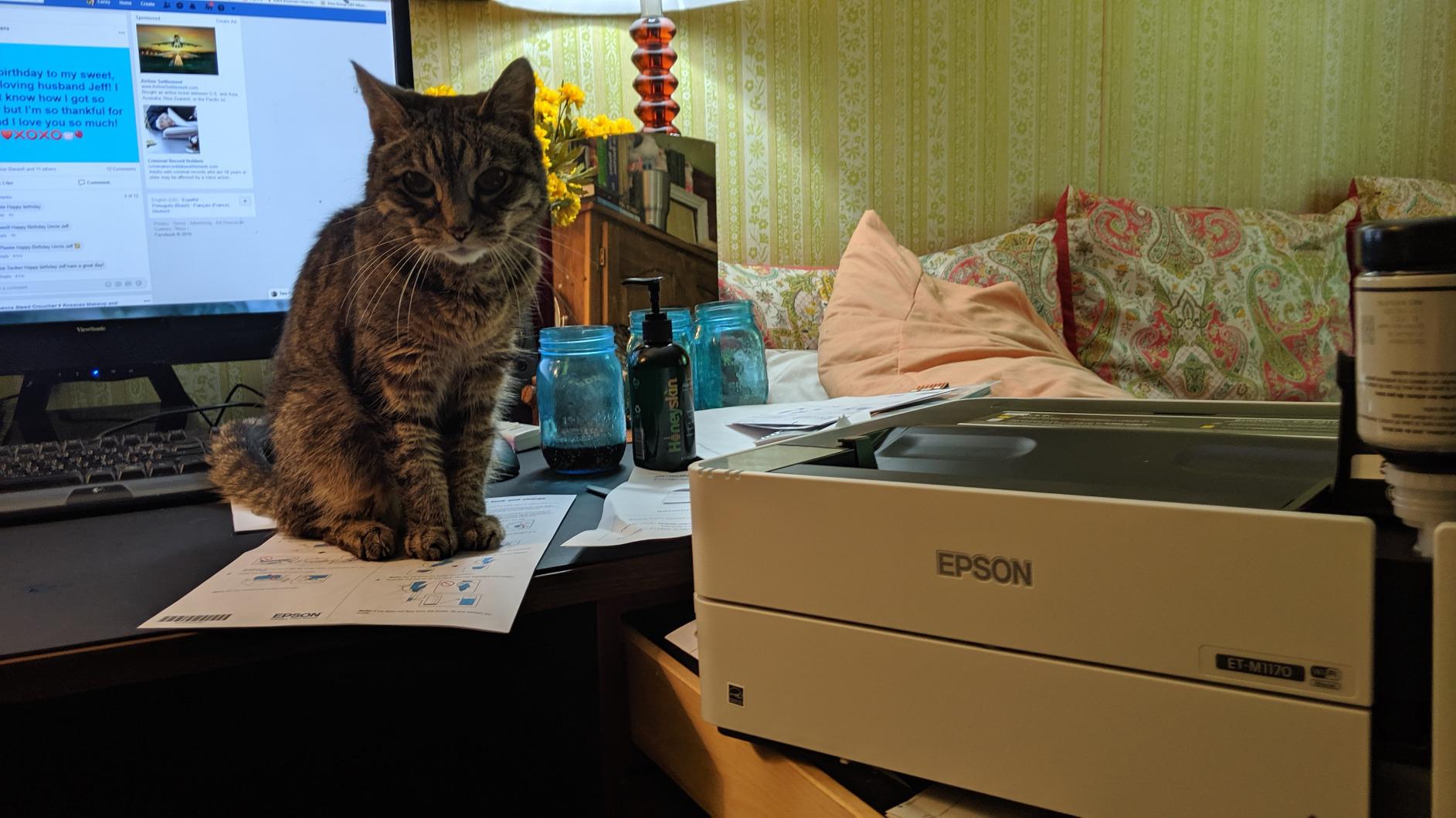 Epson EcoTank ET-M1170 Wireless Monochrome Supertank Printer customer photo 1