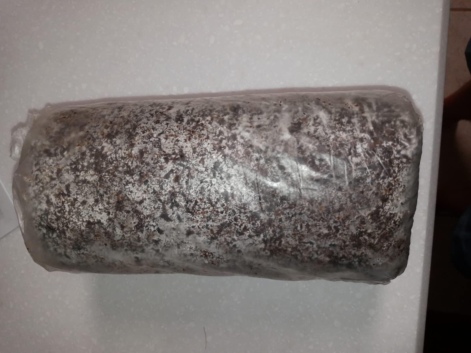 Lion’s Mane Mushroom Grow Kit, 4 lb (Packaging May Vary) customer photo 2