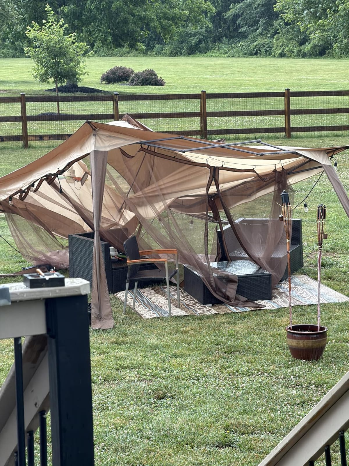 COOS BAY 11x11 Pop Up Gazebo with Netting, Canopy Tent, Beige | Outdoor Gazebo for Backyard, Party & Patio Furniture, Screened Canopy with Carry Bag, UPF 50+ UV Protection, Dual Vented Top customer photo 1
