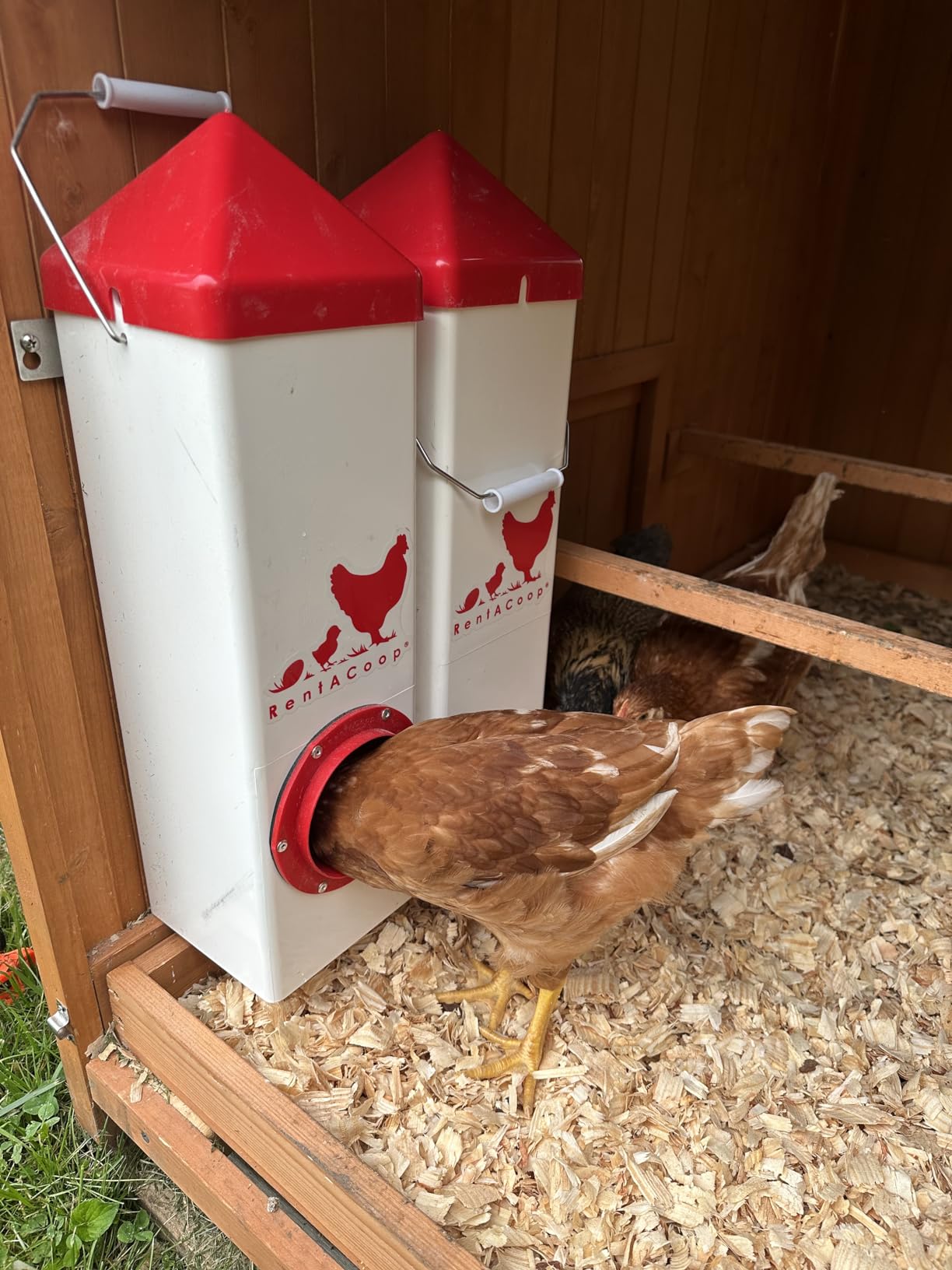 RentACoop High Rise 2 Gallon Chicken Waterer and 10lb Feeder Set | High Rise feeder and waterer set for backyard flocks customer photo 1