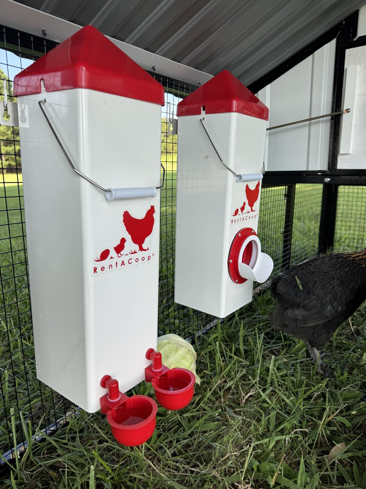 RentACoop High Rise 2 Gallon Chicken Waterer and 10lb Feeder Set | High Rise feeder and waterer set for backyard flocks customer photo 2
