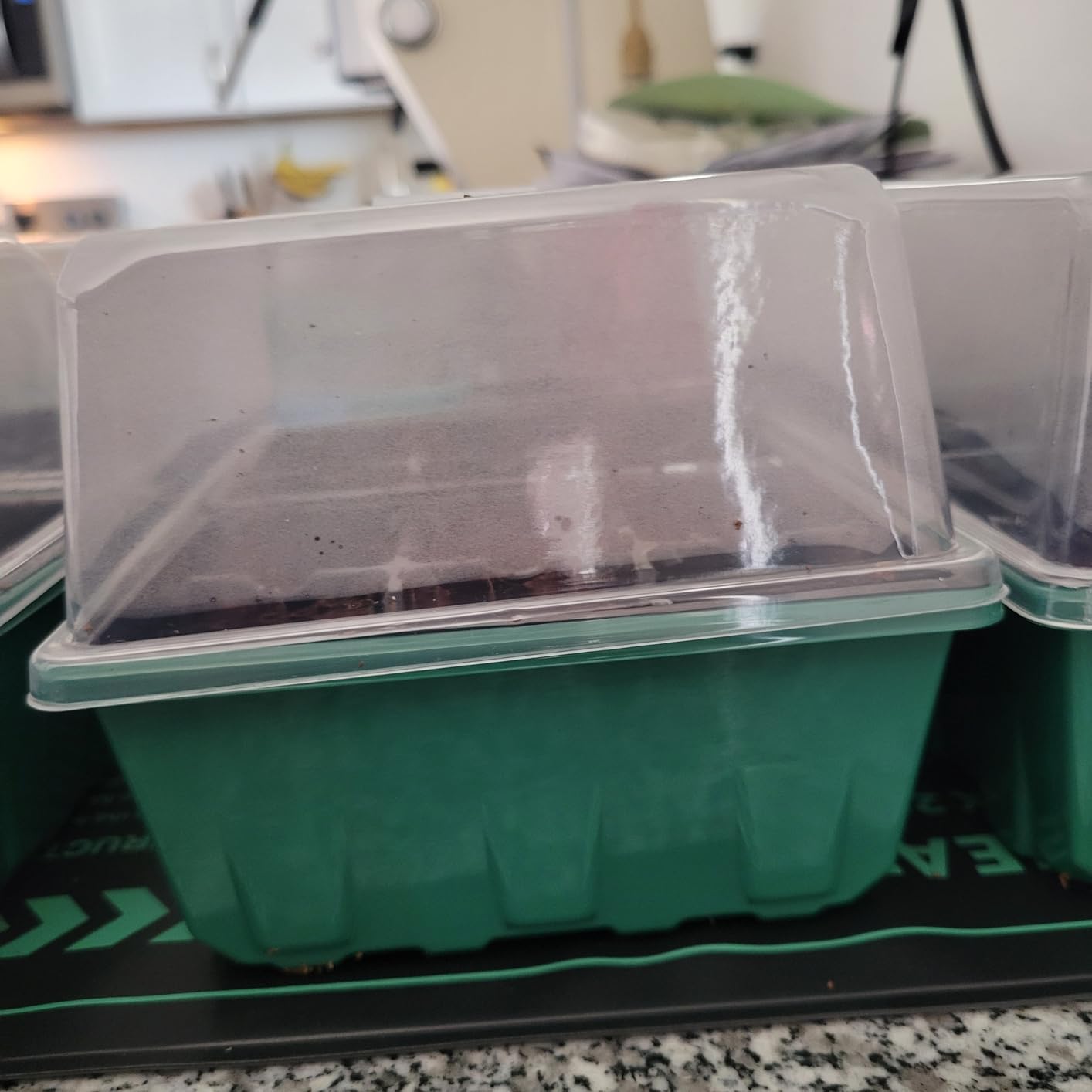 Gardzen 5-Set Seed Starter Tray Kits, Durable Plant Germination Trays with Humidity Vented Domes and Bases, Ideal for Seed Starting, Indoor Gardening, and Greenhouse (Total 200 Cells) customer photo 1