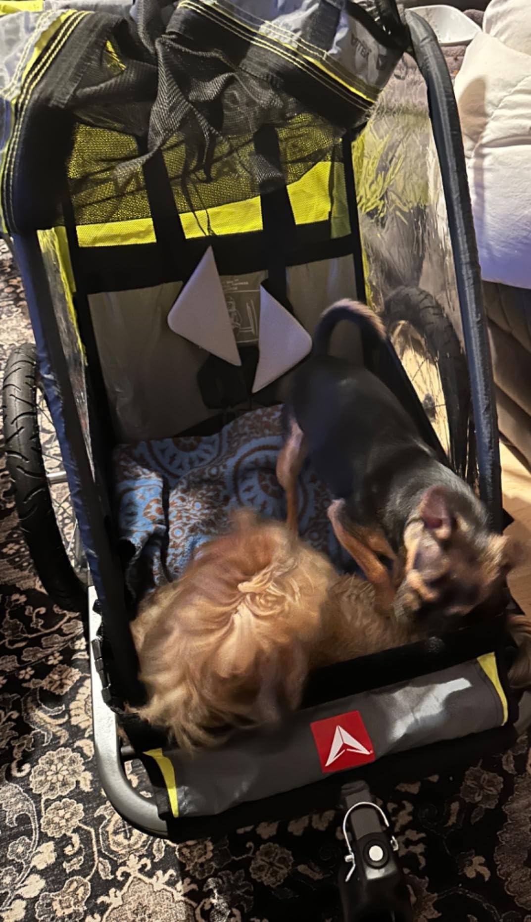 Allen Sports Deluxe Bike Trailer & Stroller customer photo 1