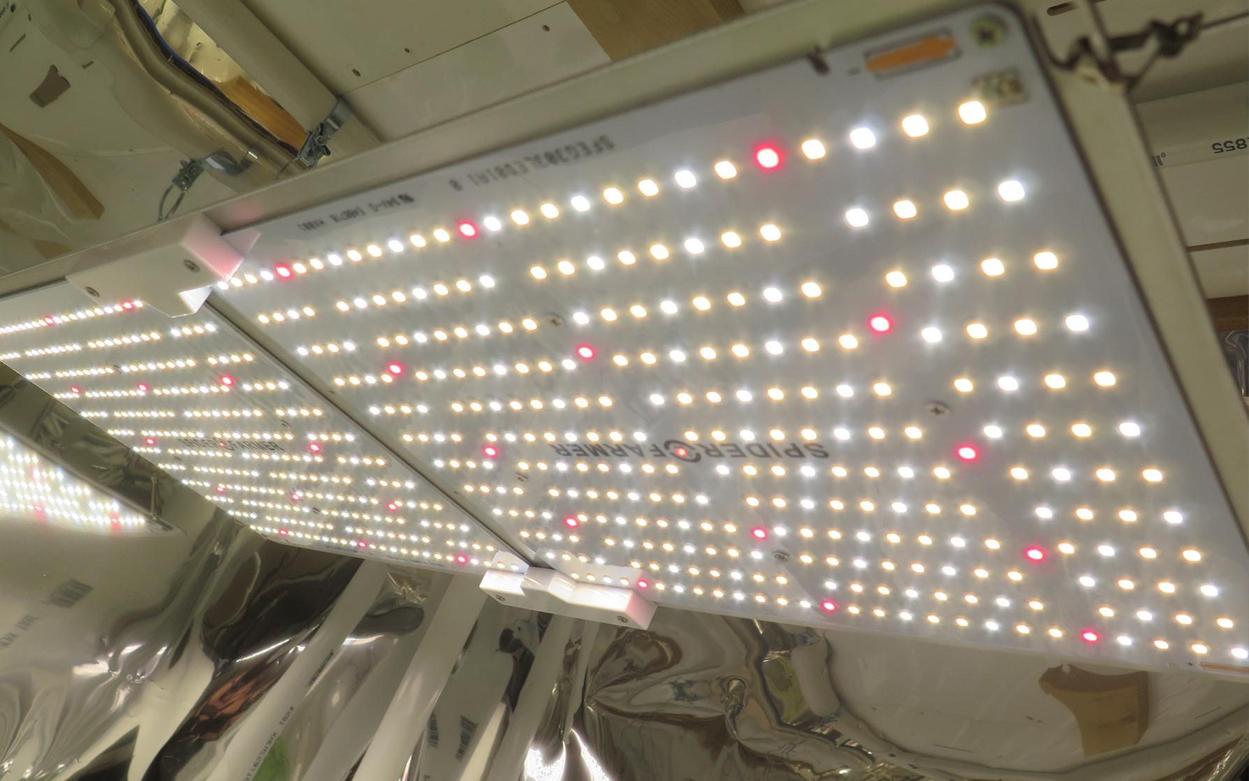 Spider Farmer SF1000 LED Grow Lights for Indoor Plants in 2x2/3x3 Grow Tent customer photo 2
