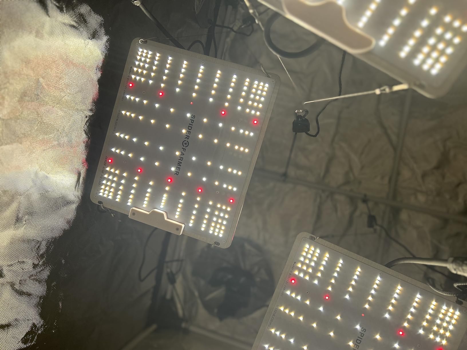 Spider Farmer SF4000 LED Grow Lights for Indoor Plants in 4x4 Grow Tent customer photo 1