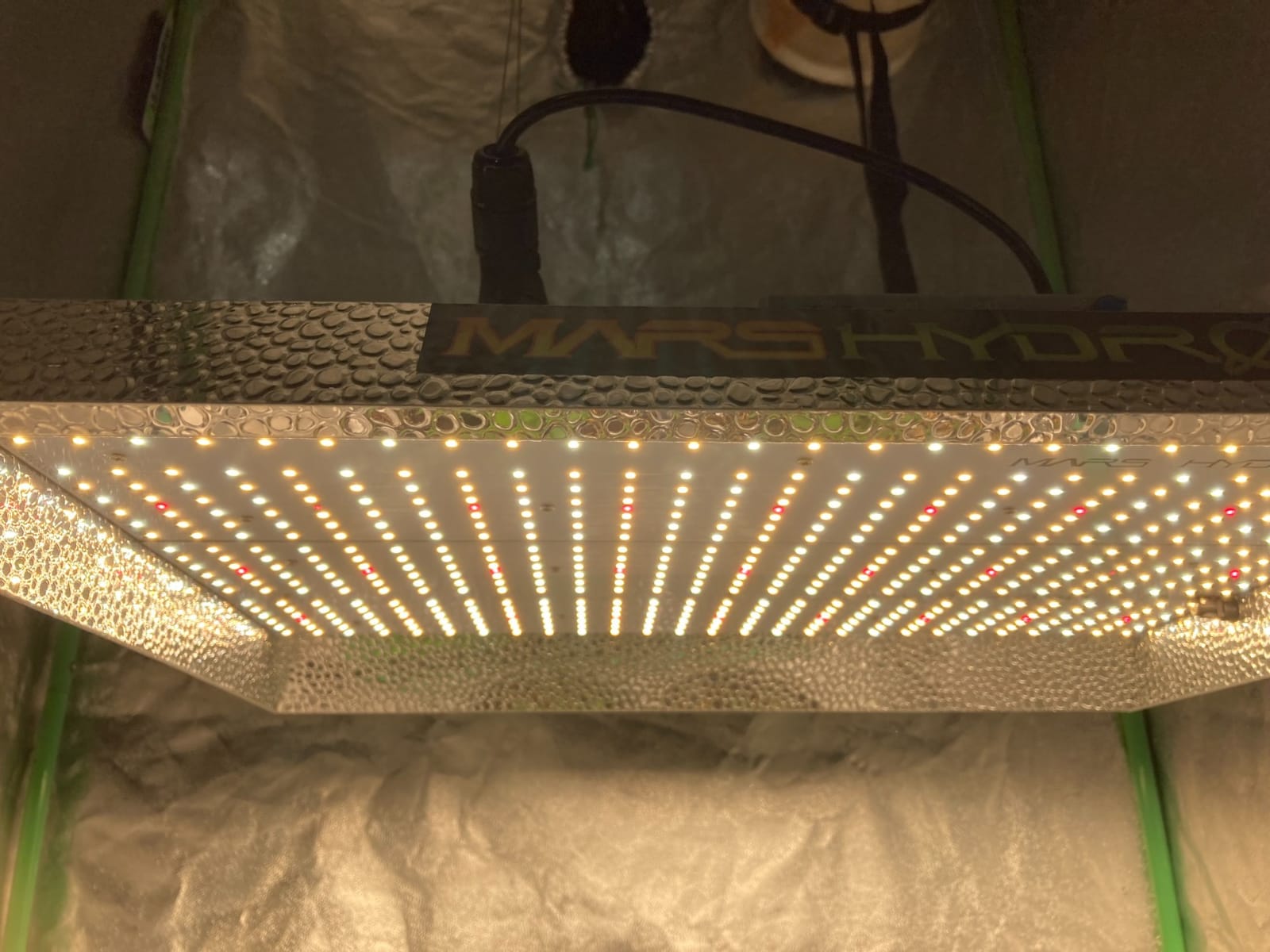 MARS HYDRO 420W TS3000 Led Grow Lights for Indoor Plants customer photo 1