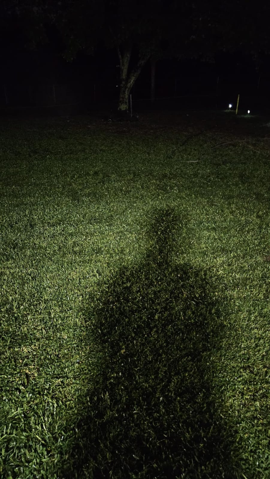 Soft Soil by GS Plant Foods- Liquid Aerator and Lawn Treatment(1 Quart) - Liquid Aerator for Any Grass Type, All Season - Great for Compact Soils, Standing Water, Poor Drainage customer photo 1