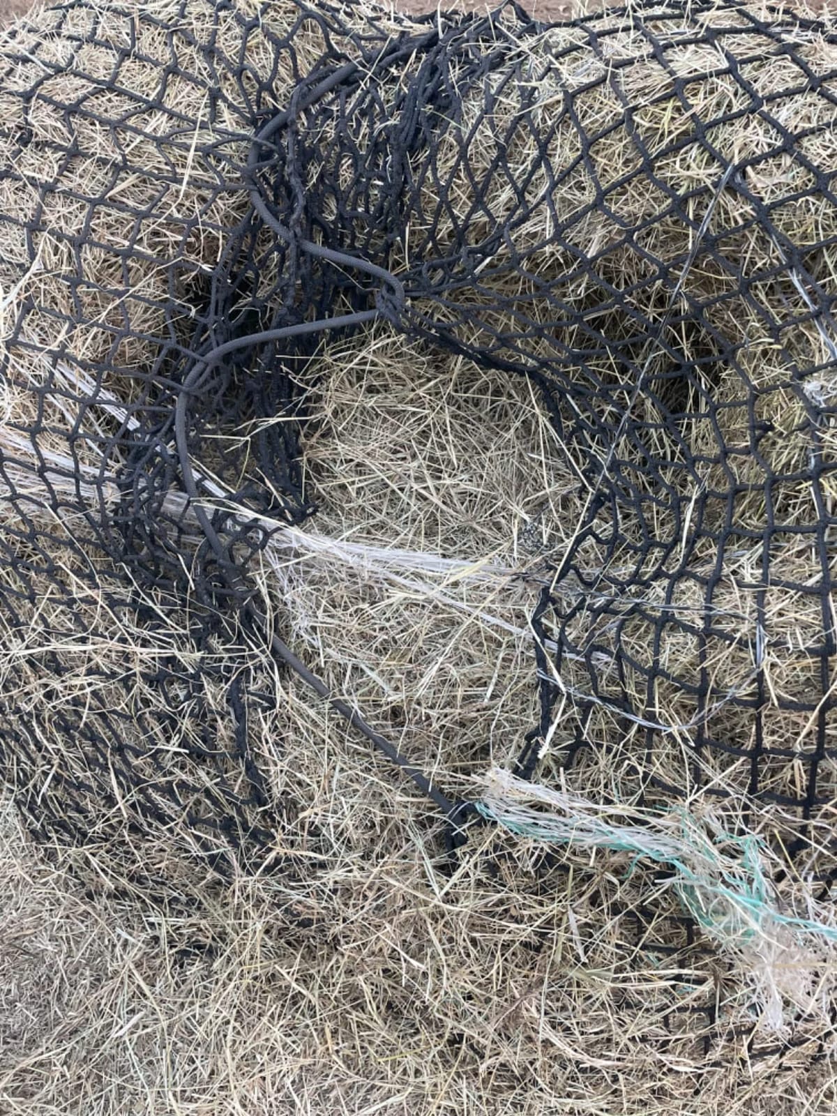 Aoneky Bale Hay Net -Average Feed Haynet for Horses - 6 x 6 ft / 5 x 5 ft customer photo 2