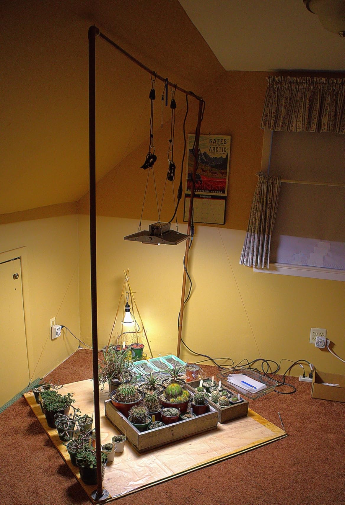 100 Watt LED Grow Light for Seed Starting Vegetables Bloom, Plant Lights customer photo 2