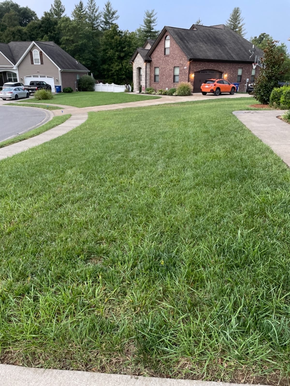 Covington Liquid Lawn Aerator (32oz) – Soil Conditioner & Softener for Lawns & Gardens – Loosens Clay & Compacted Soil for Better Water & Nutrient Absorption – Liquid Aeration Concentrate, Made in USA customer photo 2