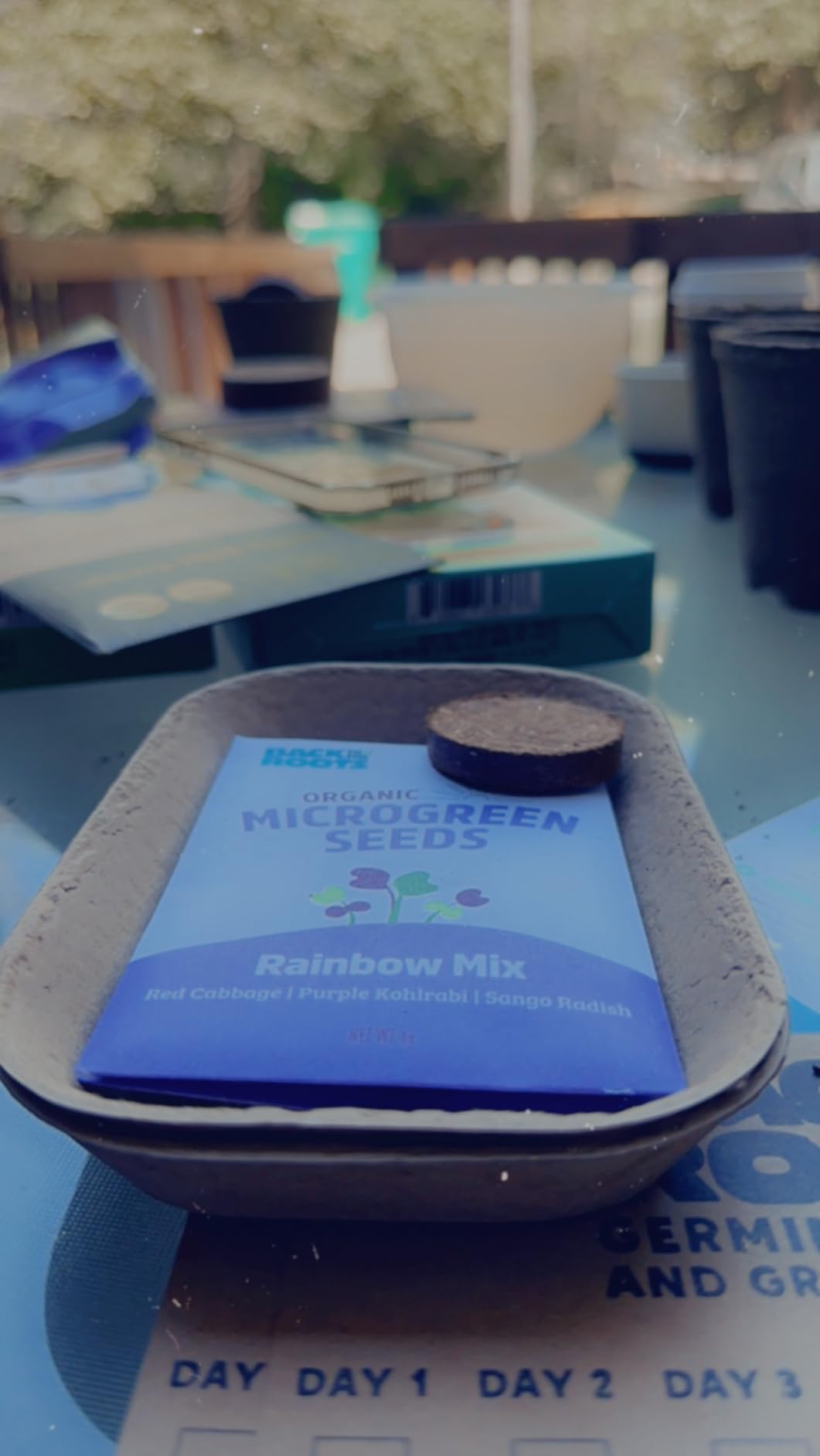 Back to the Roots DIY Microgreen Grow Kit, 6-Grow Variety Pack customer photo 1