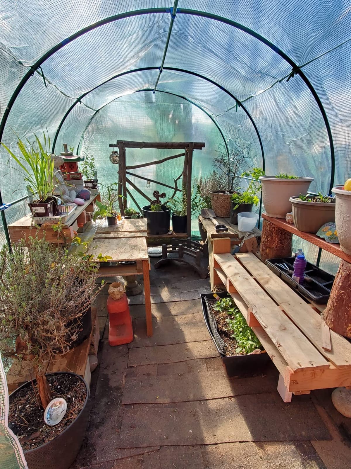 Greenhouse for Outdoors Greenhouse Walk-in Green House L10'xW7'xH7' Plastic Mini Greenhouse Kit Indoor Portable Greenhouse Plant Shelves Tomato Herb Canopy for Patio customer photo 1