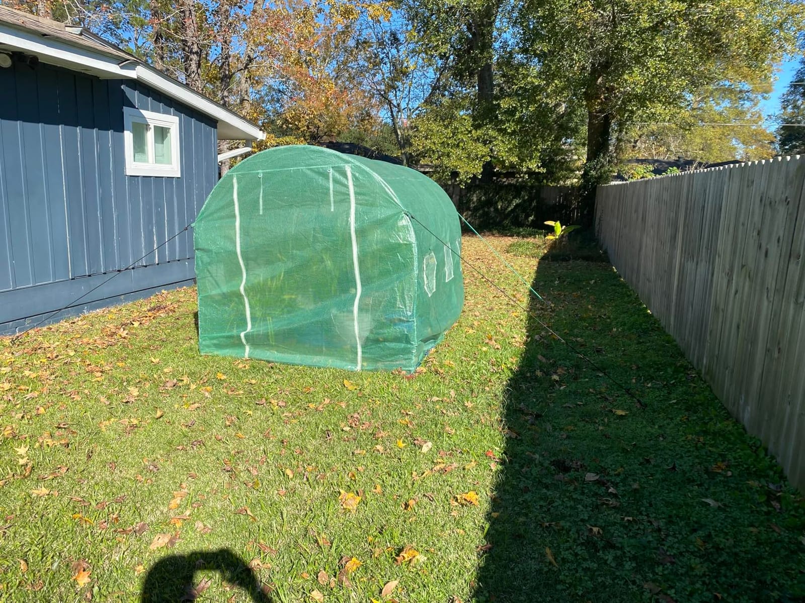 Greenhouse for Outdoors Greenhouse Walk-in Green House L10'xW7'xH7' Plastic Mini Greenhouse Kit Indoor Portable Greenhouse Plant Shelves Tomato Herb Canopy for Patio customer photo 2