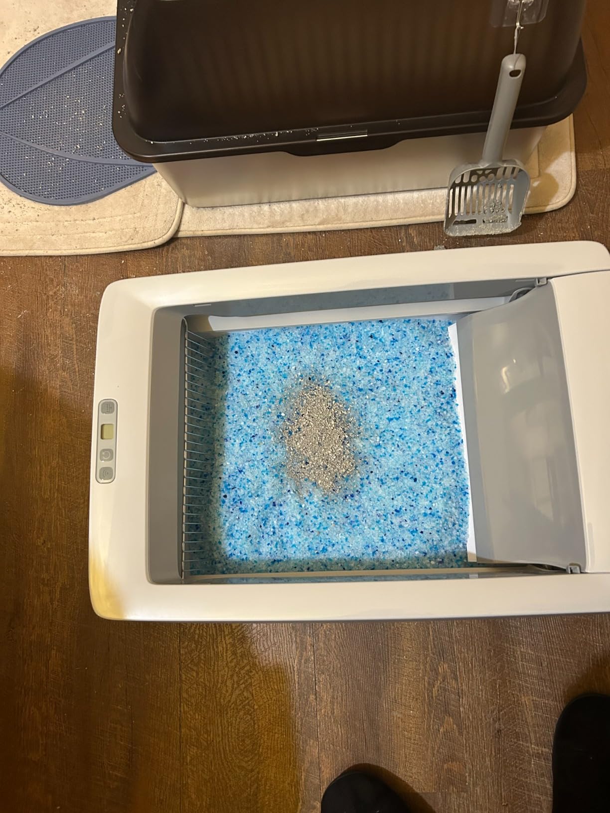 PetSafe ScoopFree Complete Smart Self-Cleaning Cat Litter Box - WiFi & App Enabled - Hands-Free Cleanup with Disposable Crystal Trays - Less Tracking, Superior Odor Control - Includes Disposable Tray customer photo 1