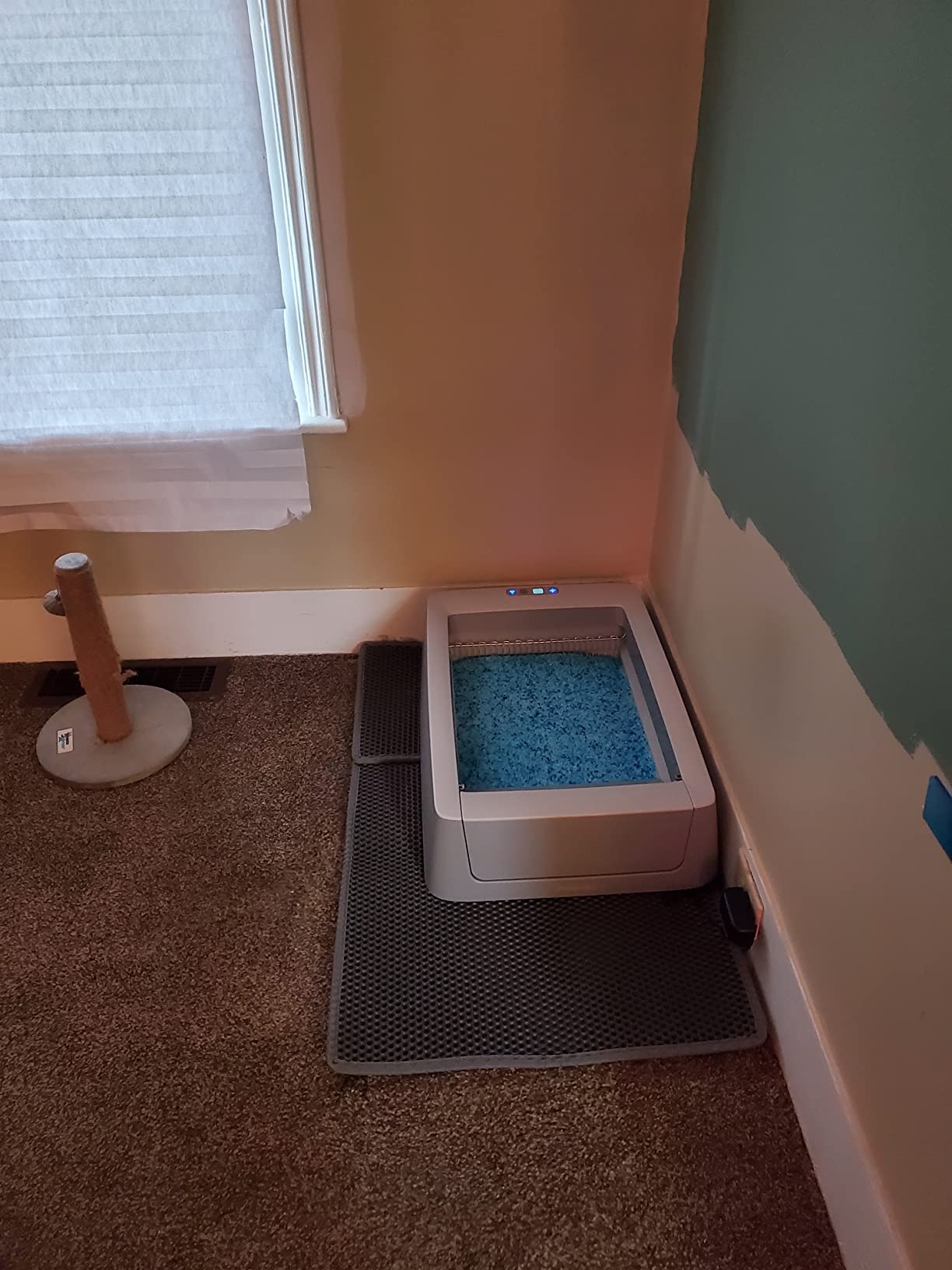 PetSafe ScoopFree Complete Smart Self-Cleaning Cat Litter Box - WiFi & App Enabled - Hands-Free Cleanup with Disposable Crystal Trays - Less Tracking, Superior Odor Control - Includes Disposable Tray customer photo 2