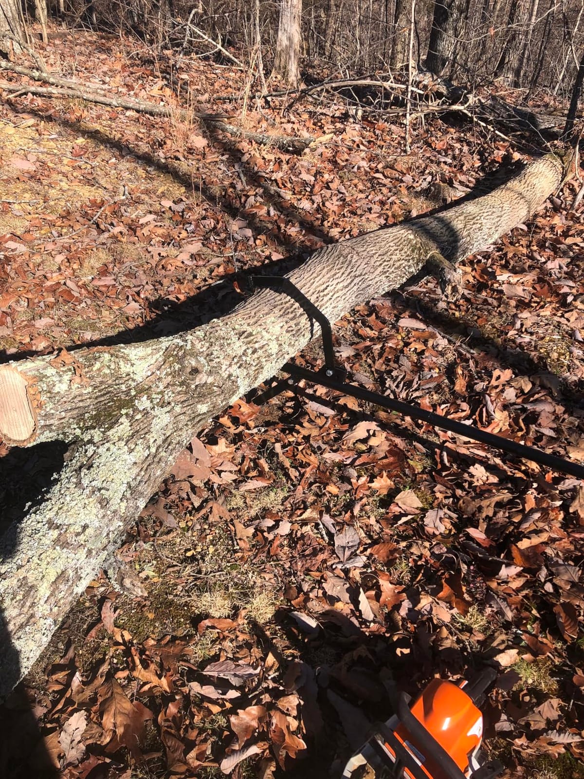 Right Hand Timberjack Triple Thick Log Lifter that Never Bends, Heavy-Duty Log Jack Helps You Lift, Move & Chainsaw Timber, Lumber & Wood, Grip Handle, Thick Heavy Steel Body, Adjustable Hook customer photo 2